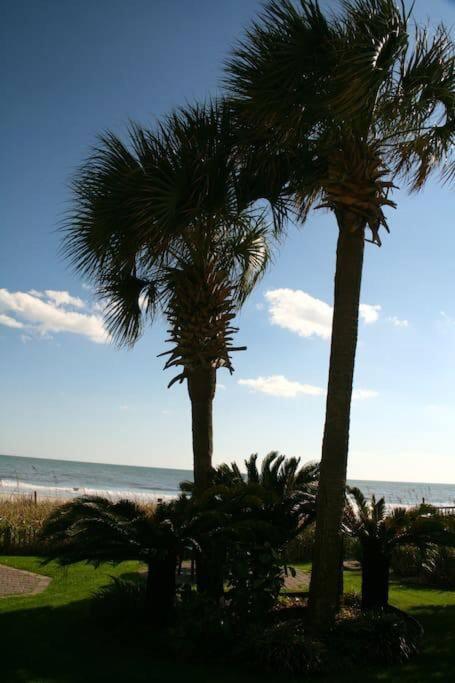 *Top Notch Family Space*Pool*Steps To The Sand*Huge Master*Wt0 شاطئ ميرتل المظهر الخارجي الصورة